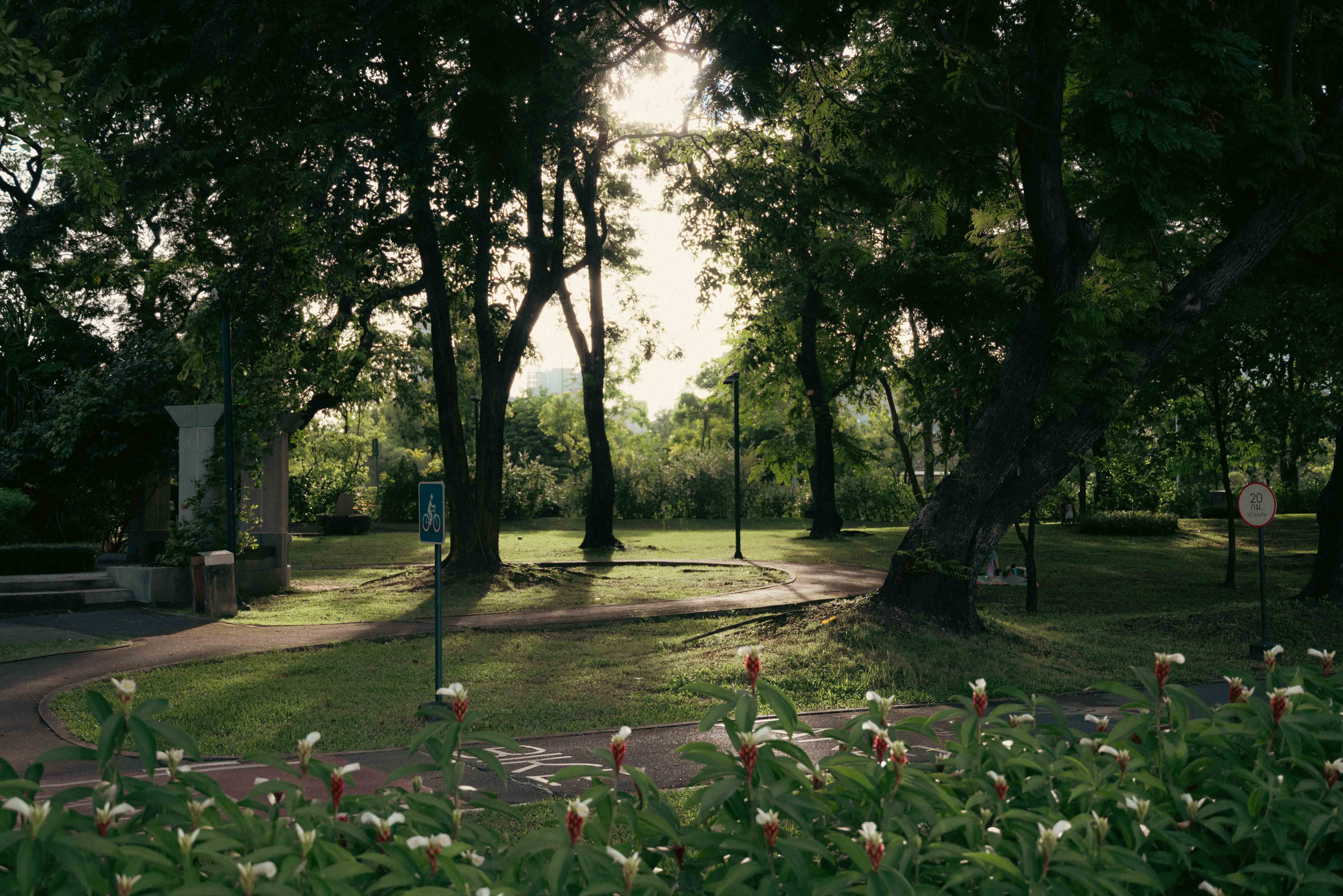 Ferris Wheel Attraction