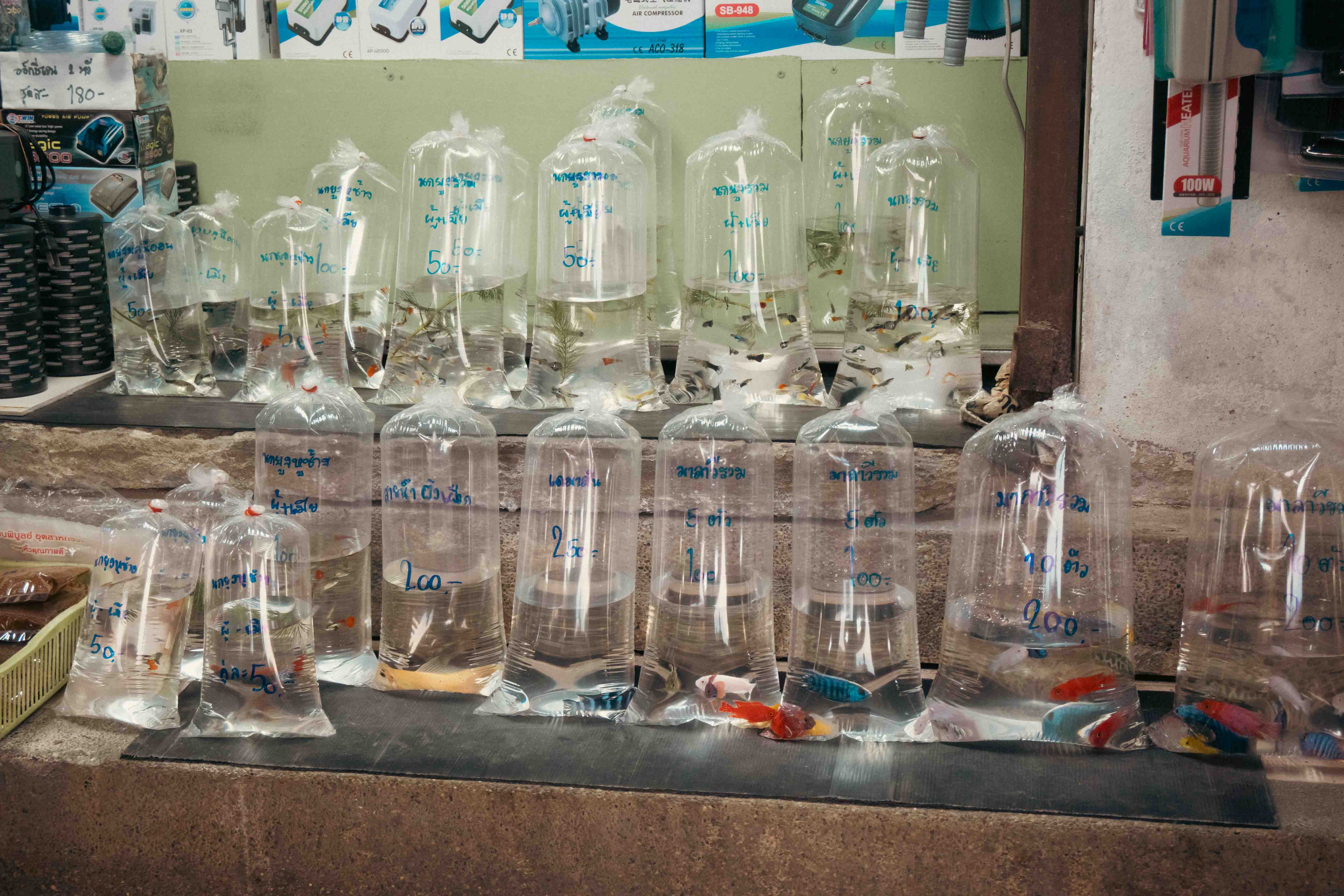 Yaowarat Street View 2