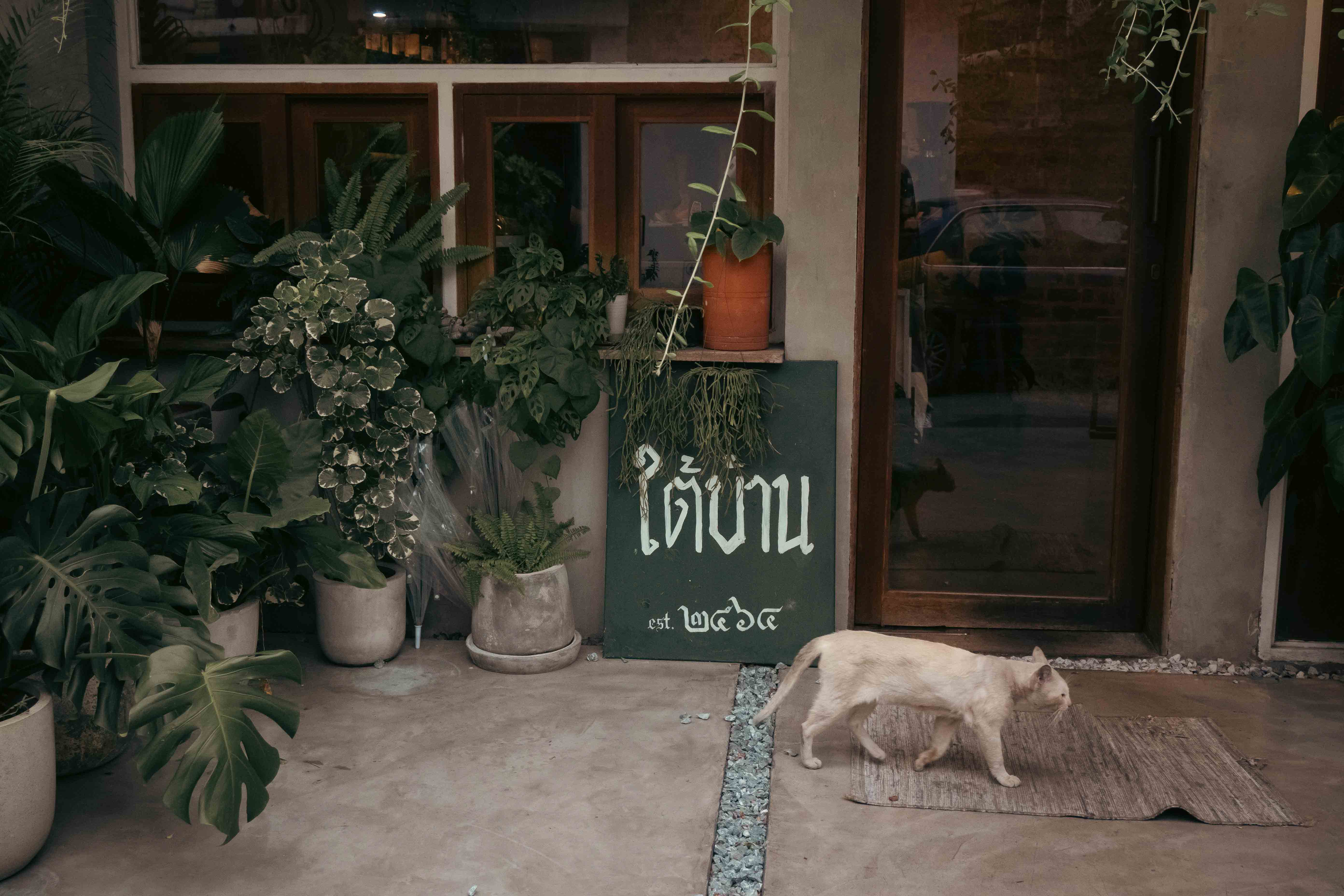 Yaowarat Road at Night 1