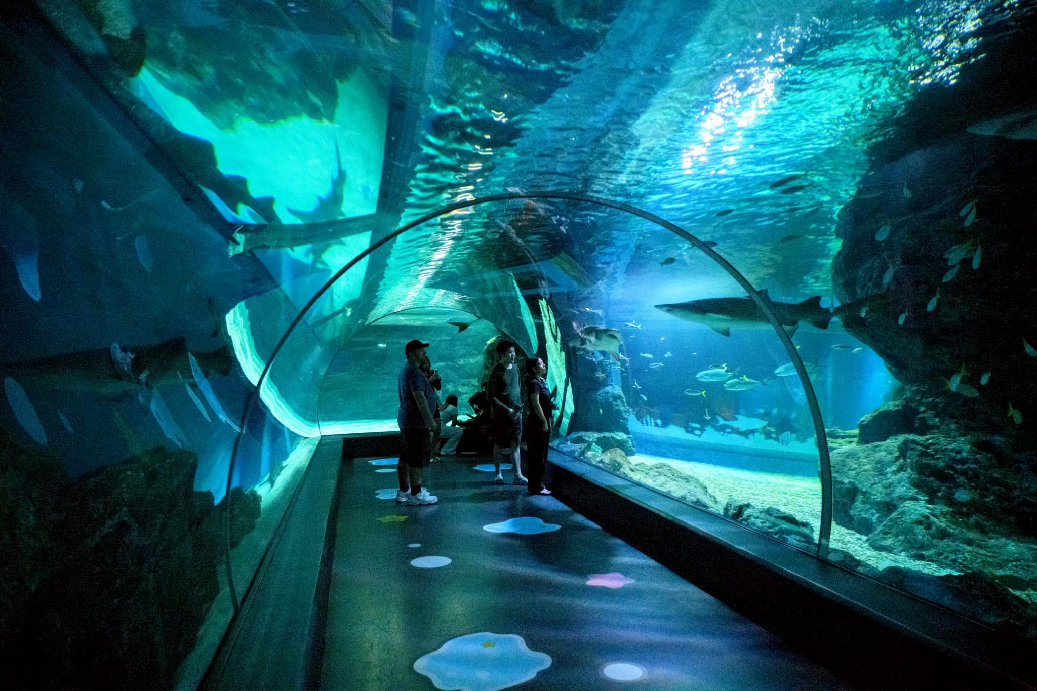 Yaowarat Food Stall 4